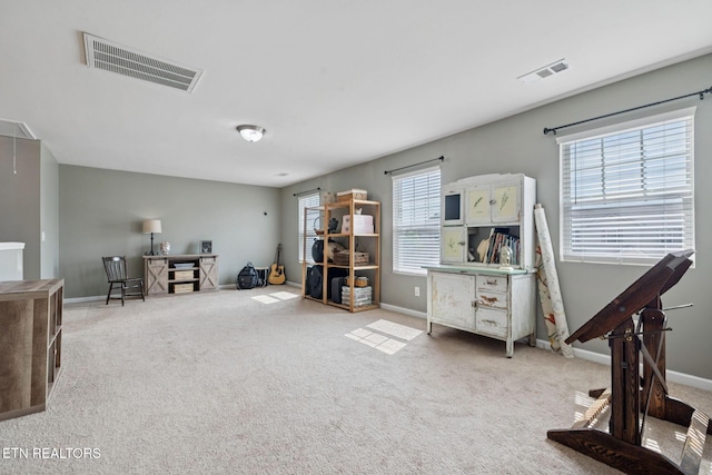 455 Owl Dr, Lebanon, TN 37087 - photo 33