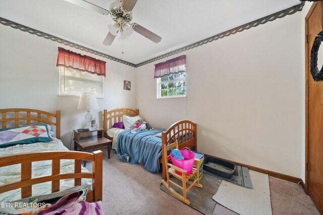800 Jennifer Dr, Knoxville, TN 37938 - photo 12
