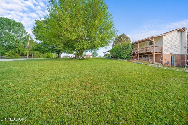 800 Jennifer Dr, Knoxville, TN 37938 - photo 4