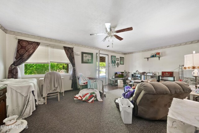 800 Jennifer Dr, Knoxville, TN 37938 - photo 5
