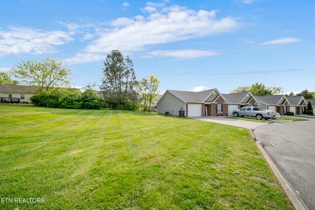 5003 White Petal Way, Knoxville, TN 37912 - photo 3