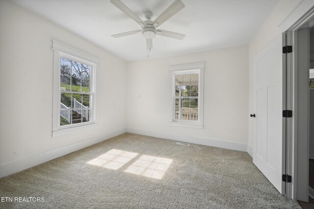 5612 Bluet Dr, Knoxville, TN 37918 - photo 10