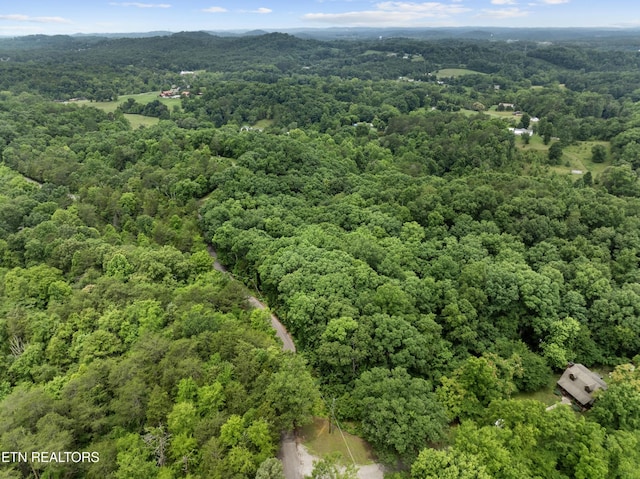1509 Lundy Rd, Knoxville, TN 37920