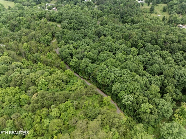 1509 Lundy Rd, Knoxville, TN 37920