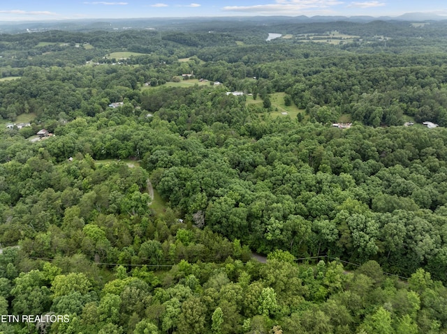 1509 Lundy Rd, Knoxville, TN 37920