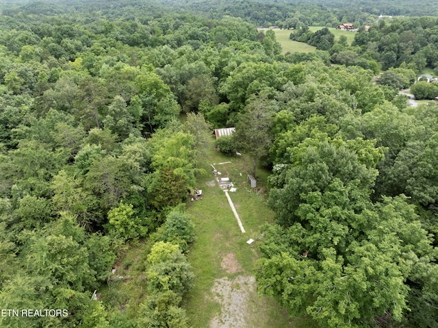 1509 Lundy Rd, Knoxville, TN 37920