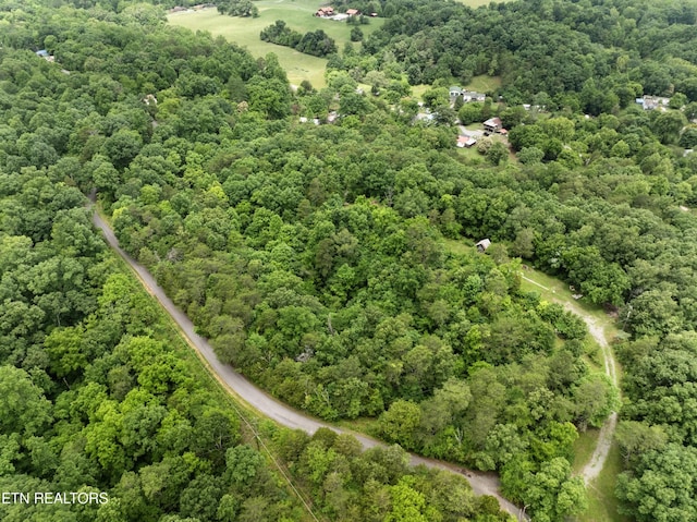 1509 Lundy Rd, Knoxville, TN 37920