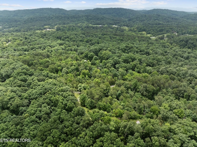 1509 Lundy Rd, Knoxville, TN 37920
