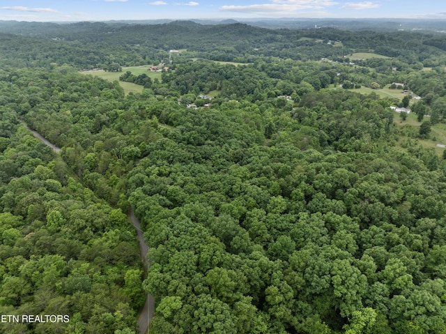 1509 Lundy Rd, Knoxville, TN 37920