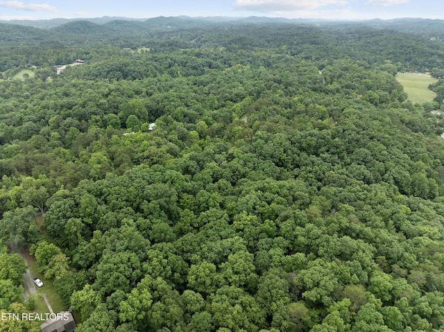 1509 Lundy Rd, Knoxville, TN 37920