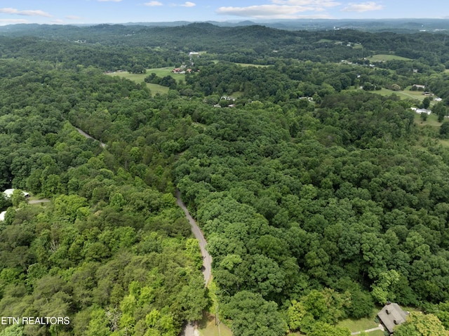 1509 Lundy Rd, Knoxville, TN 37920