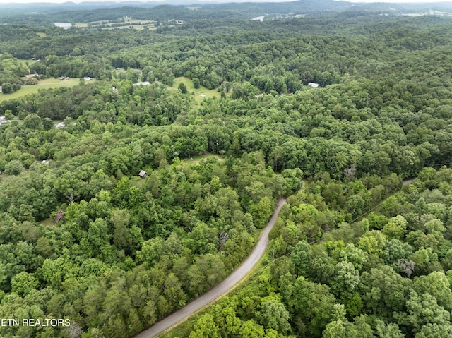 1509 Lundy Rd, Knoxville, TN 37920