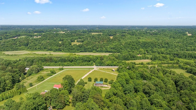 6797 New Gallatin Rd, Adolphus, KY 42120 - photo 9