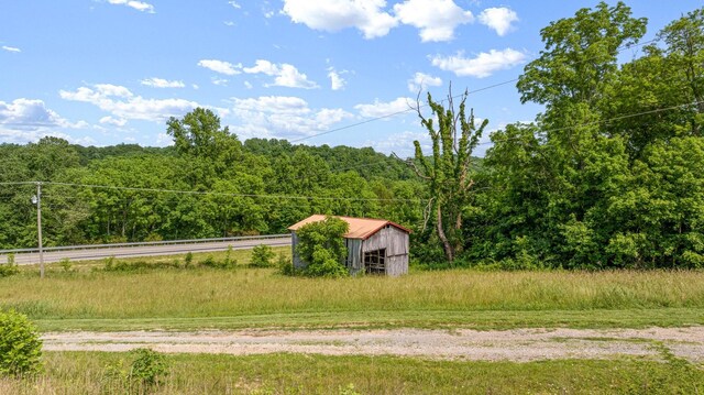 6797 New Gallatin Rd, Adolphus, KY 42120 - photo 12