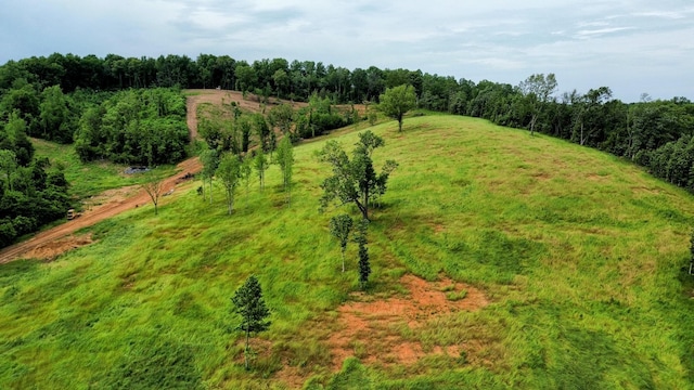 0 Hwy 64 W, Lawrenceburg, TN 38464 - photo 2