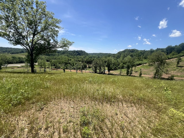 0 Hwy 64 W, Lawrenceburg, TN 38464 - photo 12
