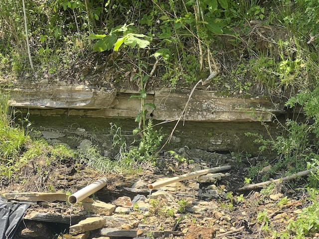 0 Hwy 64 W, Lawrenceburg, TN 38464 - photo 4