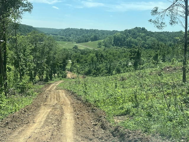 0 Hwy 64 W, Lawrenceburg, TN 38464 - photo 10