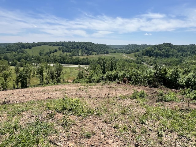 0 Hwy 64 W, Lawrenceburg, TN 38464 - photo 17