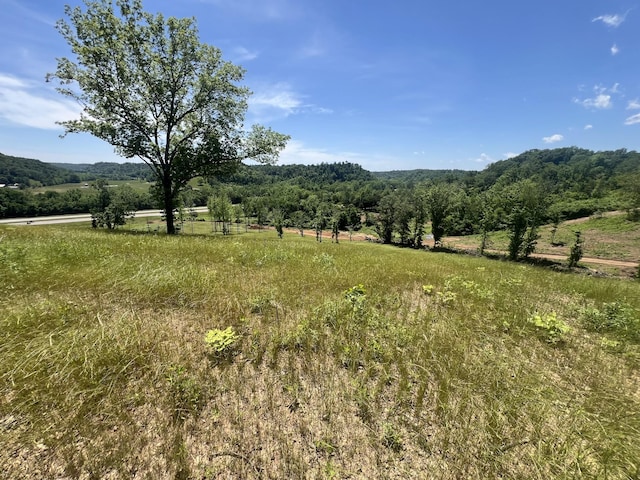 0 Hwy 64 W, Lawrenceburg, TN 38464 - photo 11