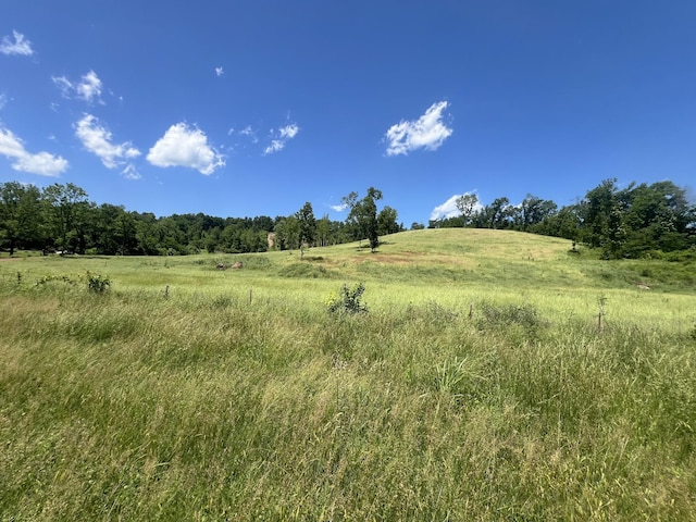0 Hwy 64 W, Lawrenceburg, TN 38464 - photo 5