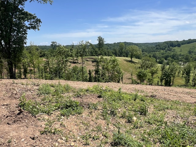 0 Hwy 64 W, Lawrenceburg, TN 38464 - photo 21
