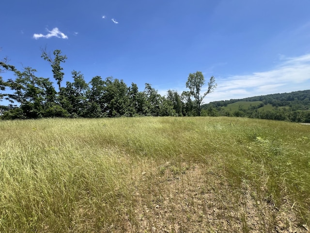 0 Hwy 64 W, Lawrenceburg, TN 38464 - photo 9