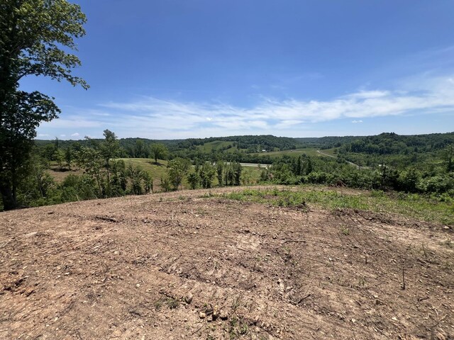 0 Hwy 64 W, Lawrenceburg, TN 38464 - photo 23