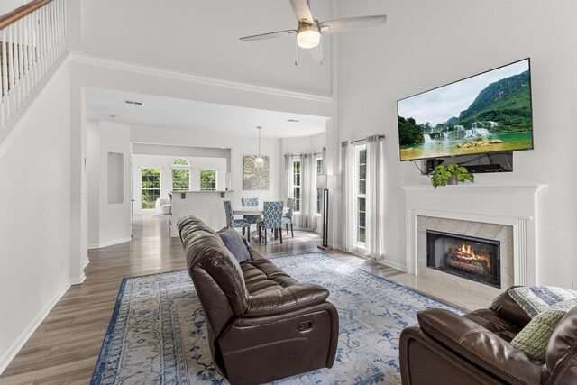 2003 Solomon Ct, Spring Hill, TN 37174 - living area with wood finished floors, ceiling fan, a high end fireplace, and a towering ceiling