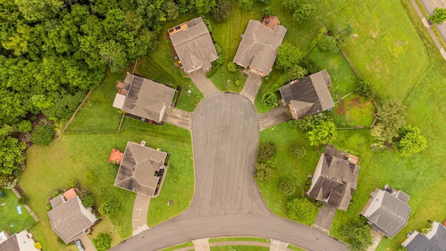 2003 Solomon Ct, Spring Hill, TN 37174 - aerial view of residential area