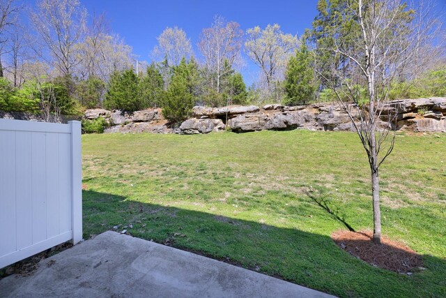 4316 Summercrest Blvd Unit 713, Antioch, TN 37013 - view of yard
