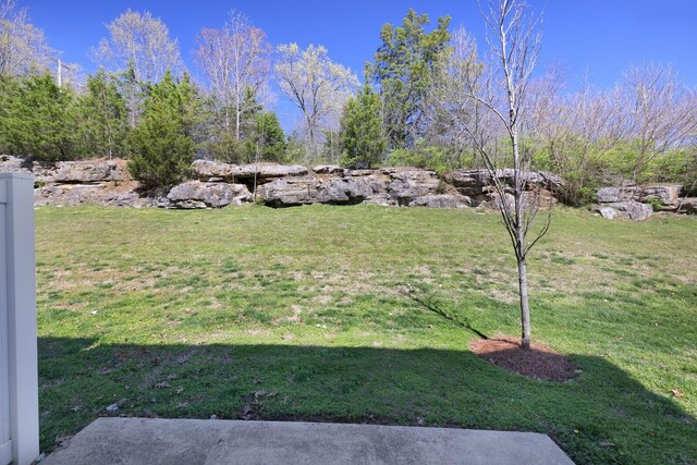4316 Summercrest Blvd Unit 713, Antioch, TN 37013 - view of green lawn