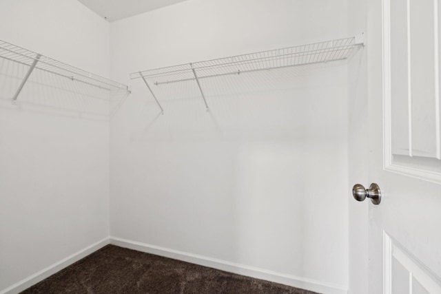 321 Twelve Oaks Ln, Lebanon, TN 37087 - spacious closet featuring dark colored carpet