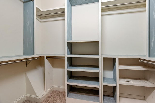 429 Acacia Grove Ln, Lebanon, TN 37087 - view of spacious closet