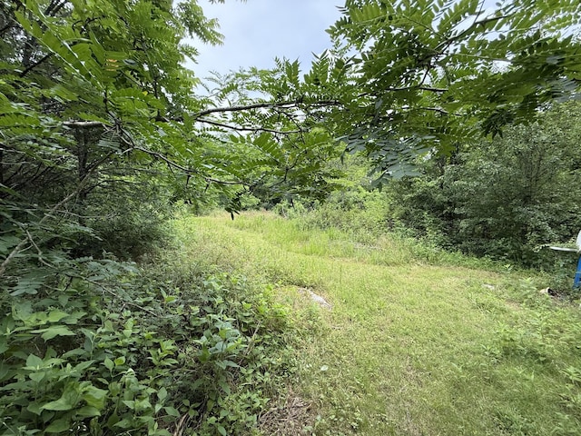 8919 Carlton Rd, Christiana, TN 37037 - photo 3