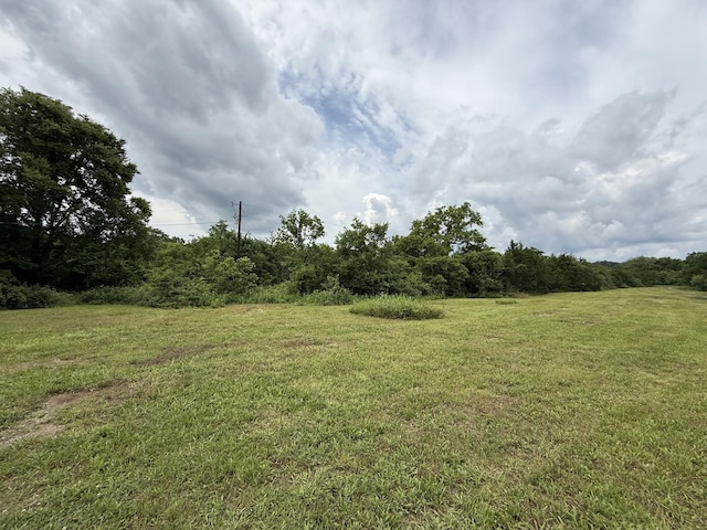 8919 Carlton Rd, Christiana, TN 37037 - photo 2