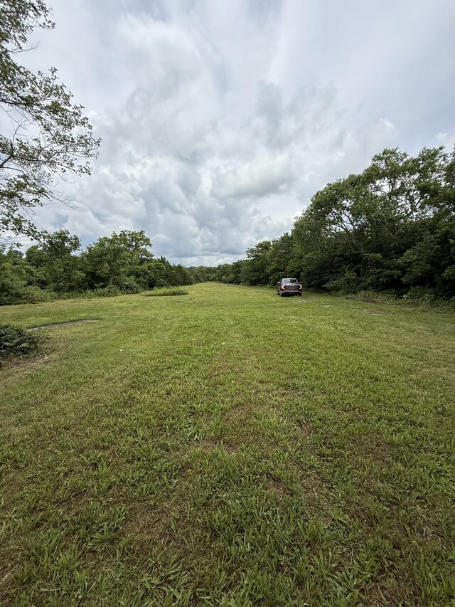 8919 Carlton Rd, Christiana, TN 37037 - photo 5