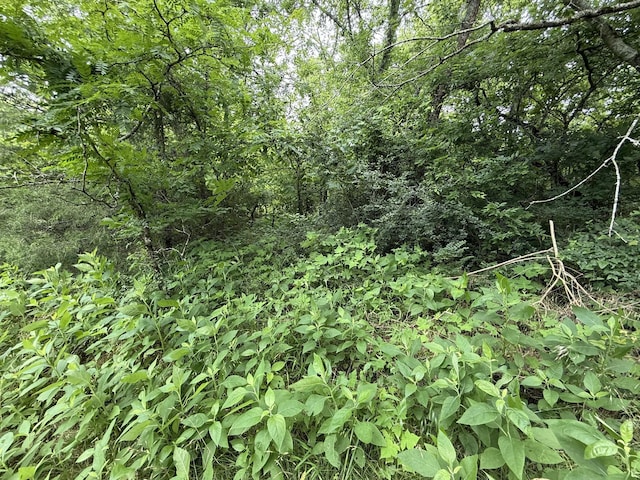 8919 Carlton Rd, Christiana, TN 37037 - photo 4