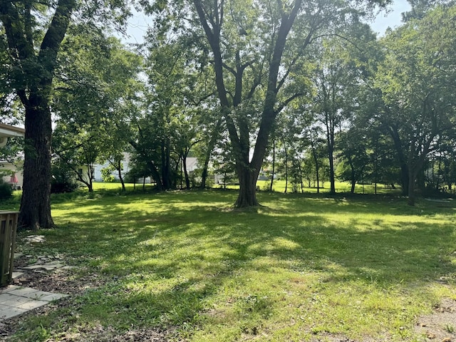 608 Oakdale St, Manchester, TN 37355 - photo 6