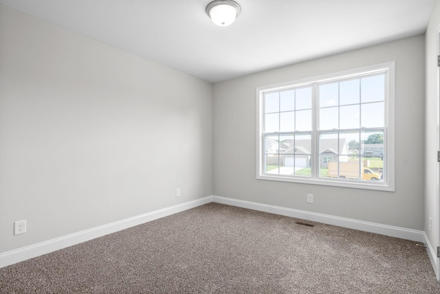 1258 Elizabeth Ln, Clarksville, TN 37042 - photo 20