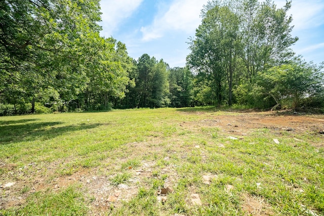 255 Second Creek Rd, Five Points, TN 38457 - view of yard featuring a wooded view