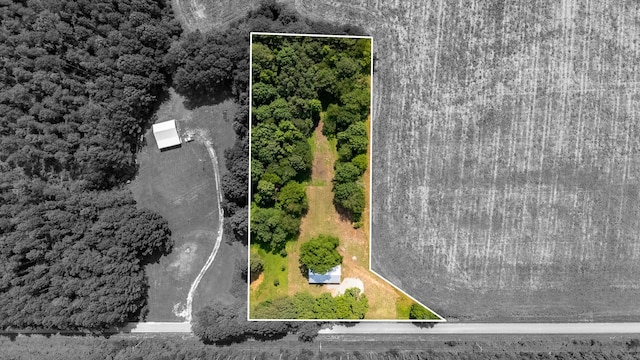 255 Second Creek Rd, Five Points, TN 38457 - aerial view