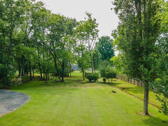 1422 Spainwood St, Columbia, TN 38401 - photo 58