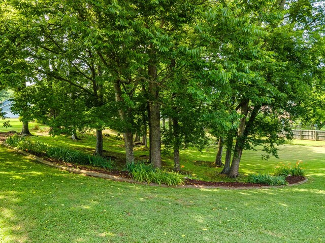 1422 Spainwood St, Columbia, TN 38401 - photo 59