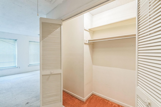5430 Gatehouse Dr Unit 5430, Memphis, TN 38134 - view of closet
