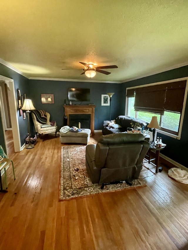 412 Howard Cir, Chattanooga, TN 37411 - living room featuring a ceiling fan, wood finished floors, crown molding, a fireplace, and a textured ceiling