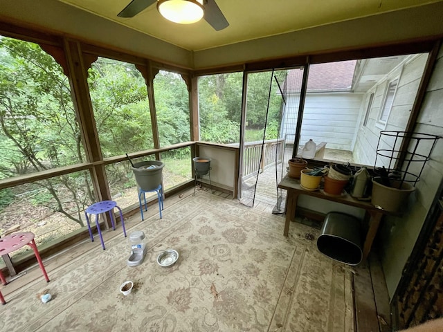 412 Howard Cir, Chattanooga, TN 37411 - sunroom / solarium featuring ceiling fan