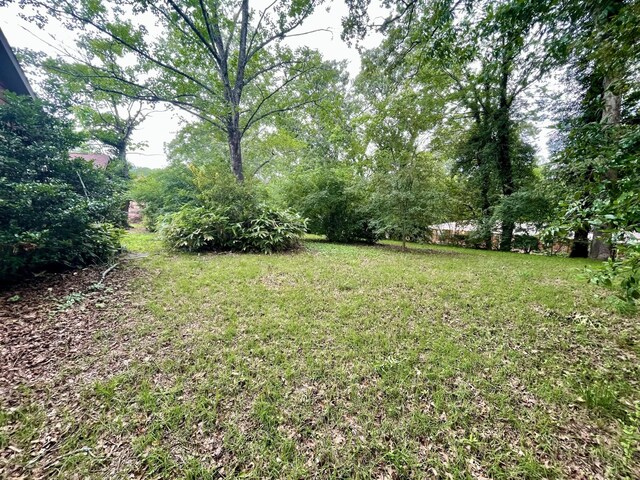 412 Howard Cir, Chattanooga, TN 37411 - view of grassy yard