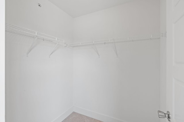 1108 Somerset Springs Dr, Spring Hill, TN 37174 - spacious closet with carpet flooring