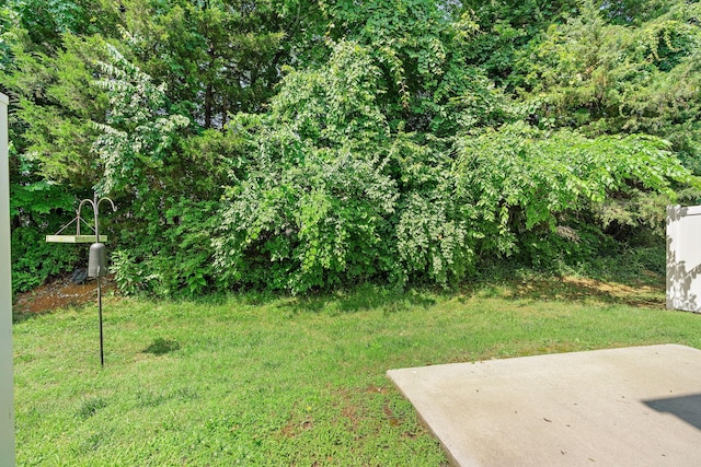 1108 Somerset Springs Dr, Spring Hill, TN 37174 - view of green lawn with a patio area
